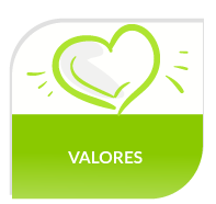 Odoo • Texto e imagen